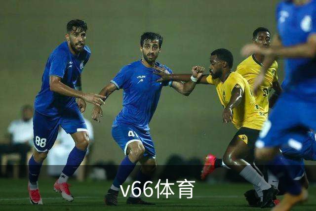 v66体育公司形象图